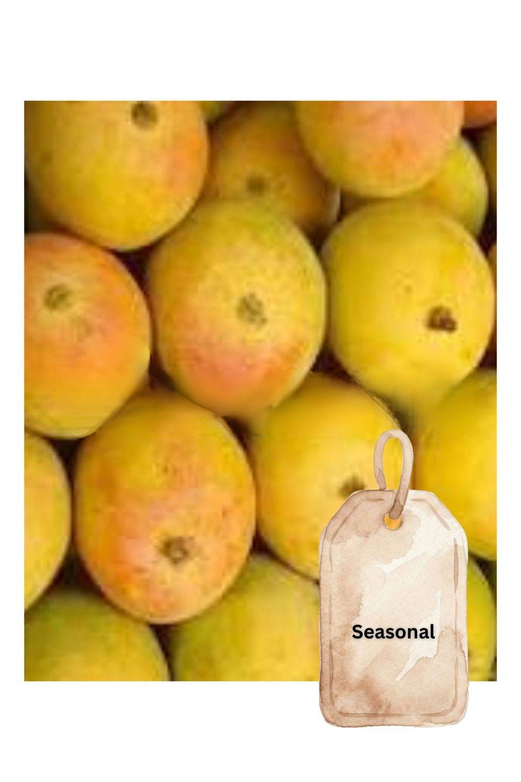Shop Item1